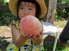 ミズタコさんの金原園への投稿写真2
