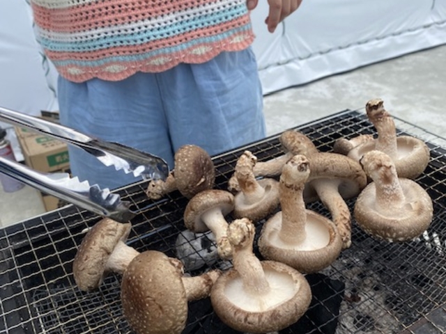 子供も率先して焼き係をやっていました。_持田さんちの椎茸