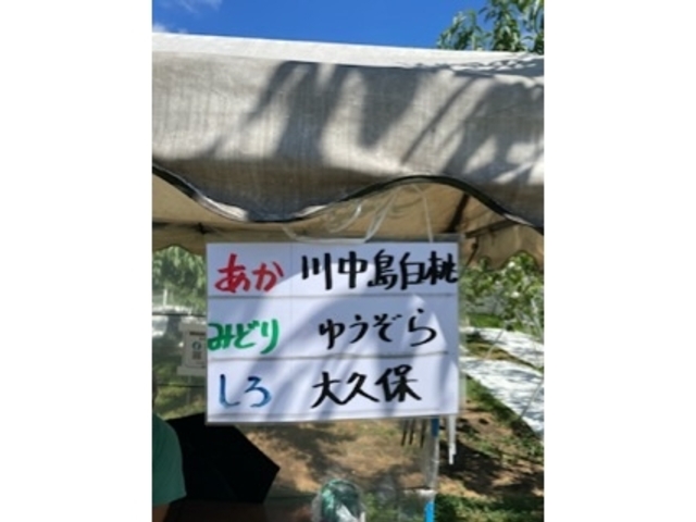 品種の種類_紺野果樹園