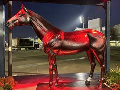 ひーちゃんさんの東京シティ競馬(大井競馬場)への投稿写真1