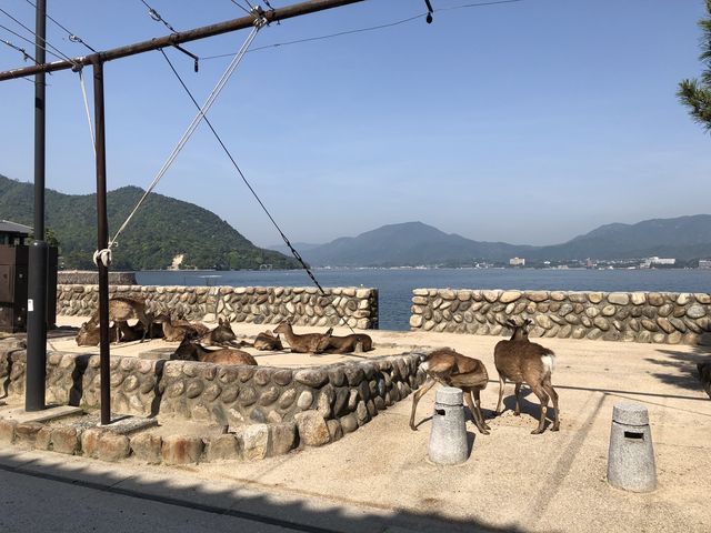 宮島桟橋