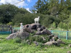 滝沢牧場の写真2