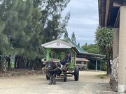 びさんのティダカンカンの投稿写真2