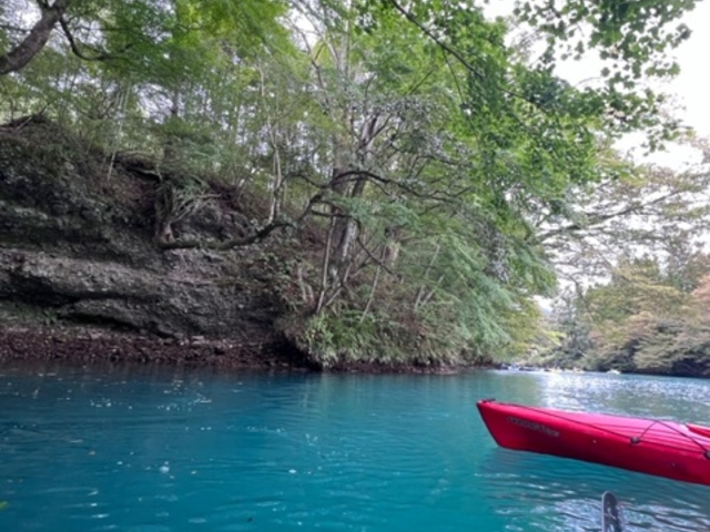 岸スレスレまで寄りました_FEELGOOD CANOE TOURS