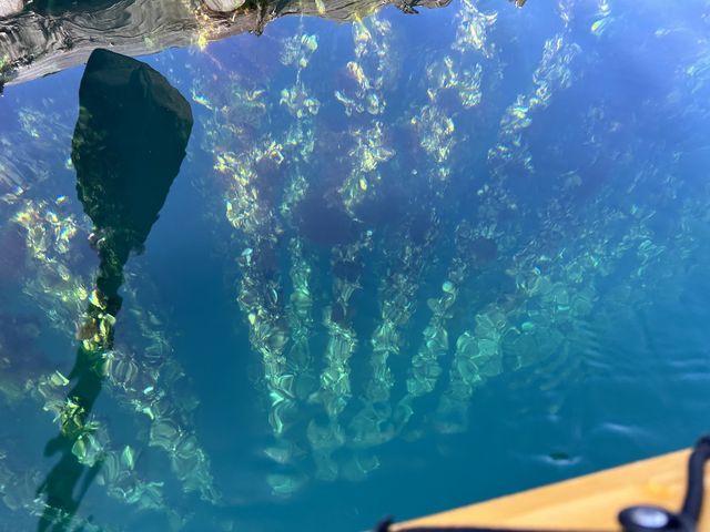 牡蠣の養殖筏です。
海のブルーのグラデーションが美しかったです。_ラグーンガイドツアーズ