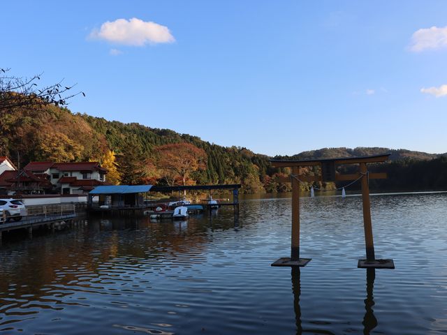 一期一会さんの浮布池の投稿写真4