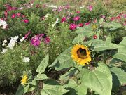おーさんの山江温泉 ほたるの投稿写真1
