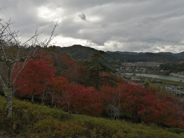 紅葉1_紫水ケ丘公園