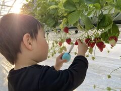 ichigos Yokohama-イチゴス横浜の写真1