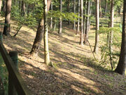 ☆さんのPICA八ヶ岳明野の投稿写真6