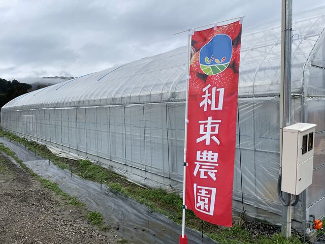 ハウス_和束農園