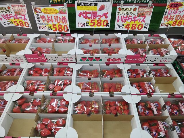 朝から爆売れ!_物産センターみわ★ふるさと館「北斗星」