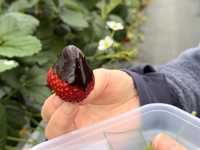味変中_あそら農園