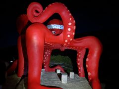 宮古島マリン SUGAR3の写真2