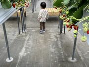 あやうそさんのFraiseの投稿写真1