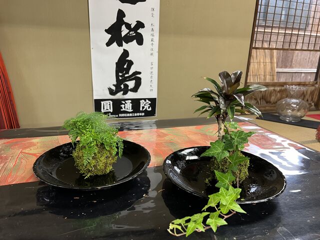 選ぶ植物で個性が出ます。写真のお皿はお店の物です。_洗心庵