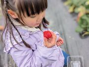 ゆかさんのふぁ〜むOkanの投稿写真2