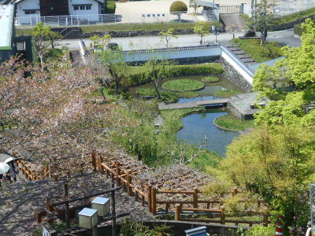 トシローさんの大洲城山公園の投稿写真1