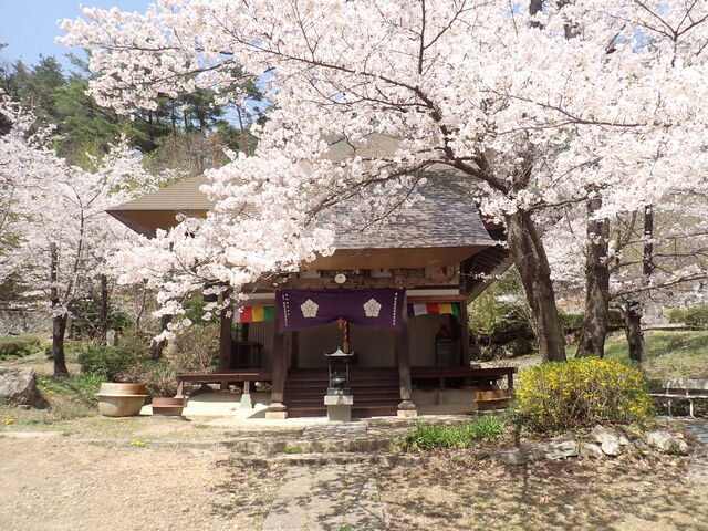 マイBOOさんの観龍寺の投稿写真1