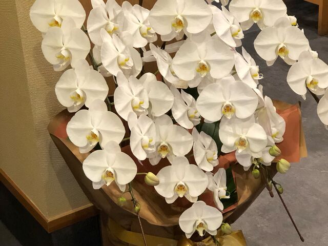 各個室には女将さんが生けたお花も_甚六