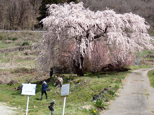 明真寺清滝観音堂