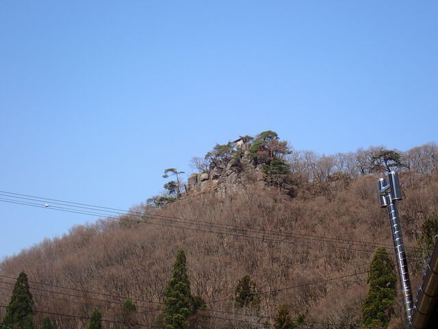 マイBOOさんの蓑堂山蓑堂の投稿写真1