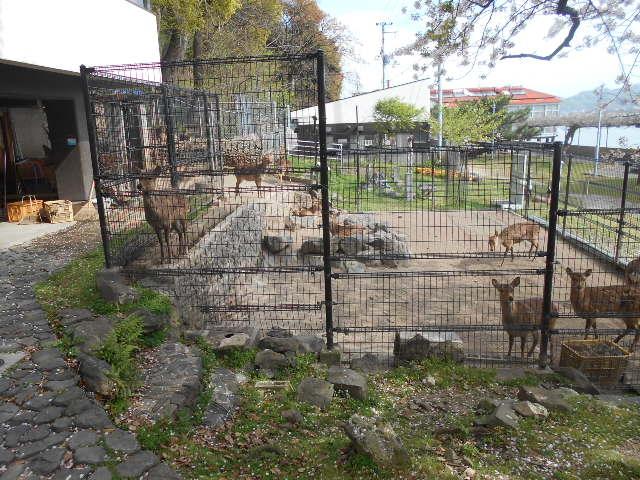 トシローさんの北条鹿島博物展示館(かしまーる)の投稿写真1