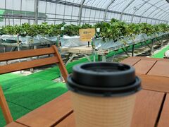 にんにんさんのゆいまーるFARMへの投稿写真1