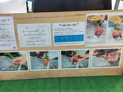 にんにんさんのゆいまーるFARMへの投稿写真4