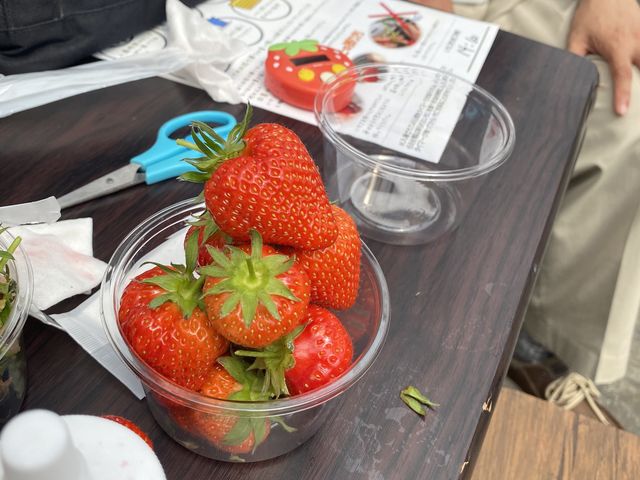 盛りだくさんです。_いちごICHIJYUフルーツファーム
