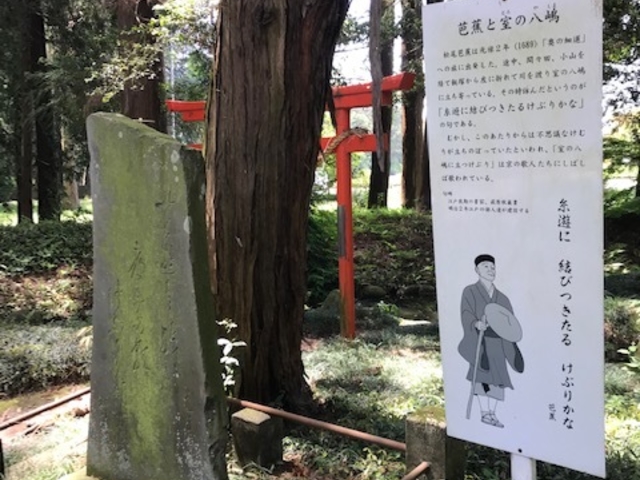 芭蕉推し_室の八嶋