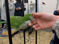KMYNさんの鳥のいるカフェ千駄木店への投稿写真1