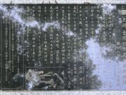 Shotaさんの古河公方館跡の投稿写真1