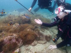 あやねさんの柏島ダイビングサービス Smiley Diveへの投稿写真1