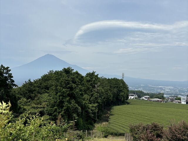 丘から見える茶畑と富士山_ヤマタカ櫻井製茶「富士山Teaパーク」