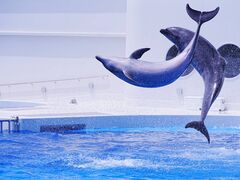 神戸須磨シーワールドの写真1