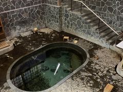 ダルメシアンさんの″新日本百名湯″″日本温泉遺産″に指定 秘湯宿「藤三旅館」への投稿写真1