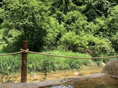 ダルメシアンさんの″新日本百名湯″″日本温泉遺産″に指定 秘湯宿「藤三旅館」への投稿写真2