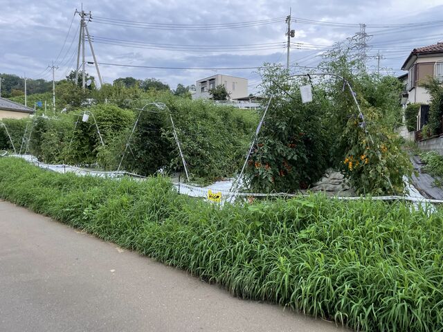 あっという間の30分でした。_小さな大橋農園