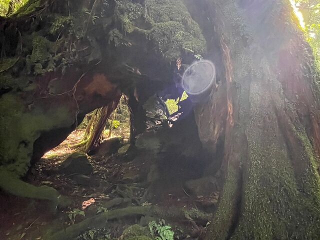 自分達を歓迎するかのようなオーブ_Yamakara屋久島