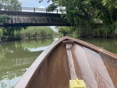 ゆきさんの水郷のさと まるやまへの投稿写真1