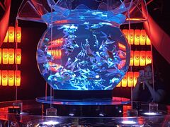 アートアクアリウム美術館 GINZAの写真1
