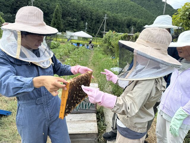 ミツバチの巣を持たせてもらってます。_berich養蜂場 丹波篠山