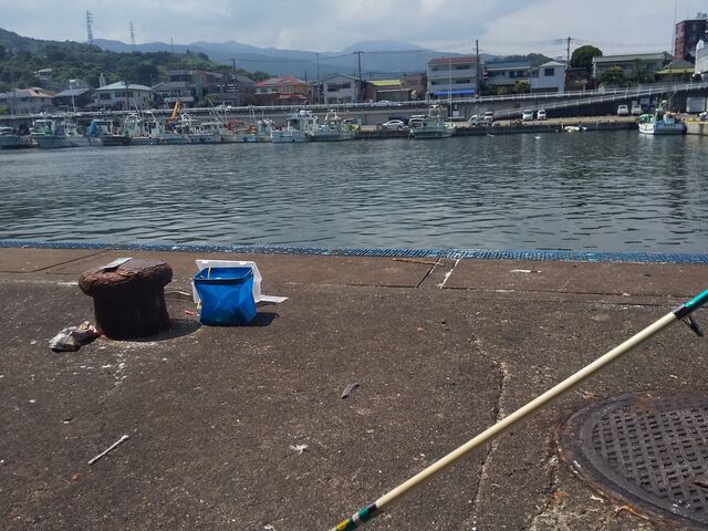 釣果ハゼ1匹_小田原FBC