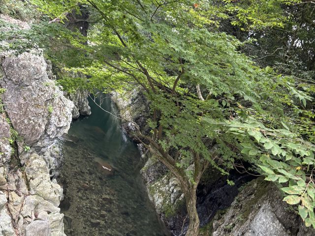 ゆかりんこさんの猿飛千壺峡の投稿写真3