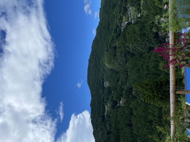 天空カフェからみえる山_かずら橋ブルーベリー園&古民家カフェ天空