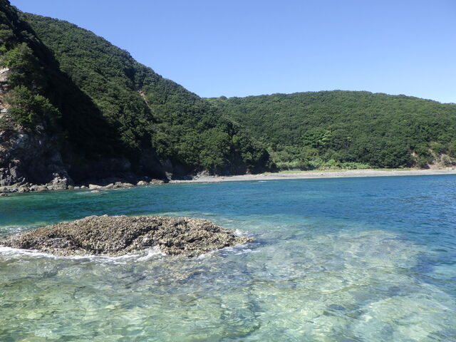 波が穏やかな浅瀬に船で連れてだいただきました。_マリンランドひらばえ