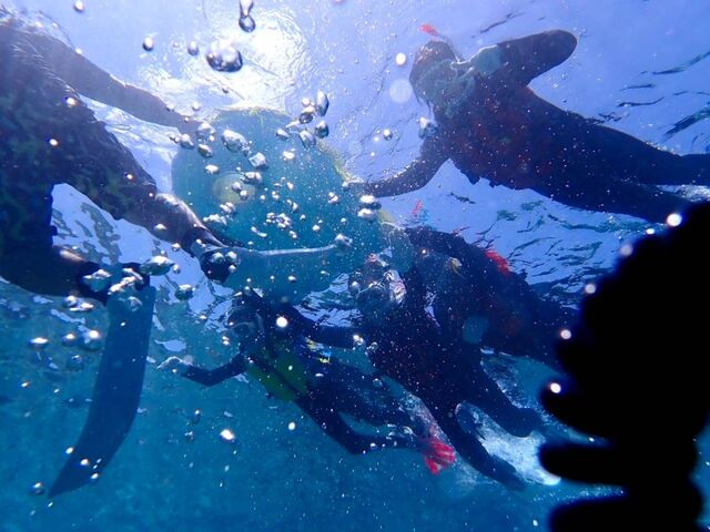 海底から家族4人を撮って頂いた写真です_沖縄マリンサービスブルーケーブ