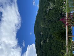 かずら橋ブルーベリー園&古民家カフェ天空の写真1