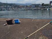 DAYさんの小田原FBCの投稿写真1